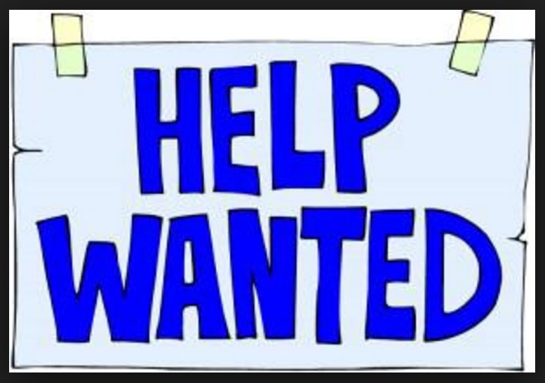 Transition Year Students are looking for your Help